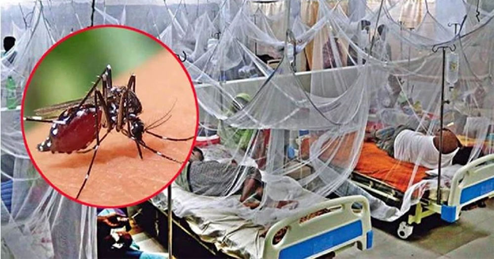 ডেঙ্গুতে আরও তিনজনের মৃত্যু, হাসপাতালে ৬৮৫