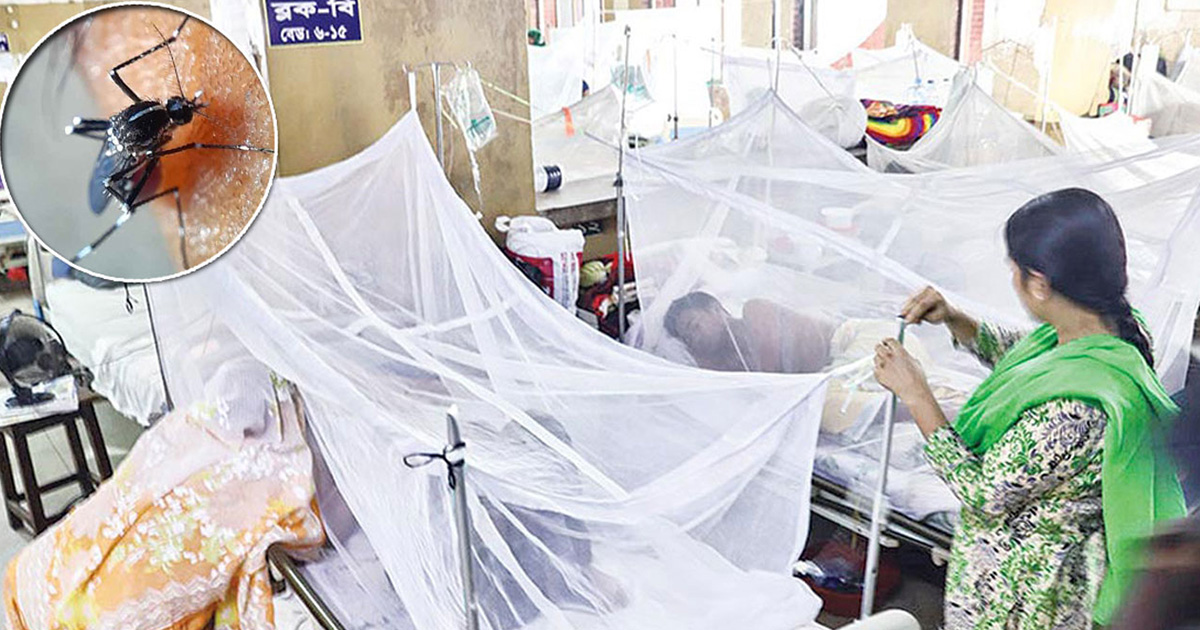 ডেঙ্গুতে একদিনে আরও ৫ মৃত্যু, হাসপাতালে ৬২২