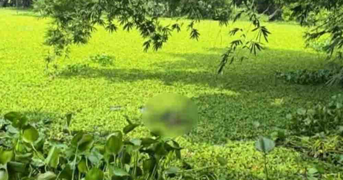 নিখোঁজের ২ দিন পর পুকুরে মিলল নারী শিক্ষার্থীর মরদেহ