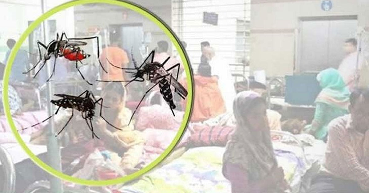 একদিনে ডেঙ্গু আক্রান্ত হয়ে হাসপাতালে ভর্তি ৫১৪