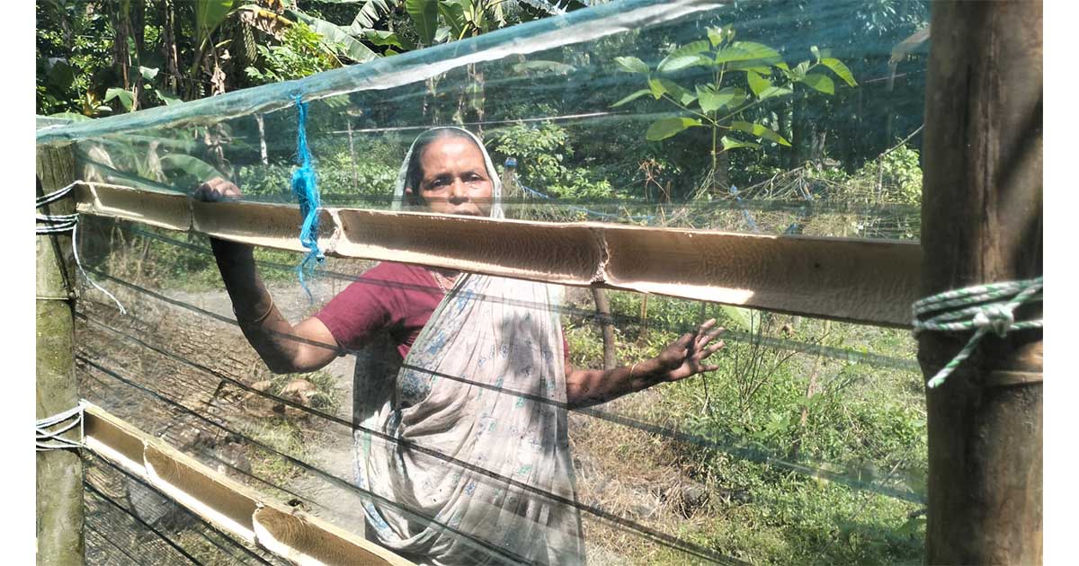 উজিরপুরে বৃদ্ধাকে অবরুদ্ধ করে বেড়া দিয়ে দখলের অভিযোগ