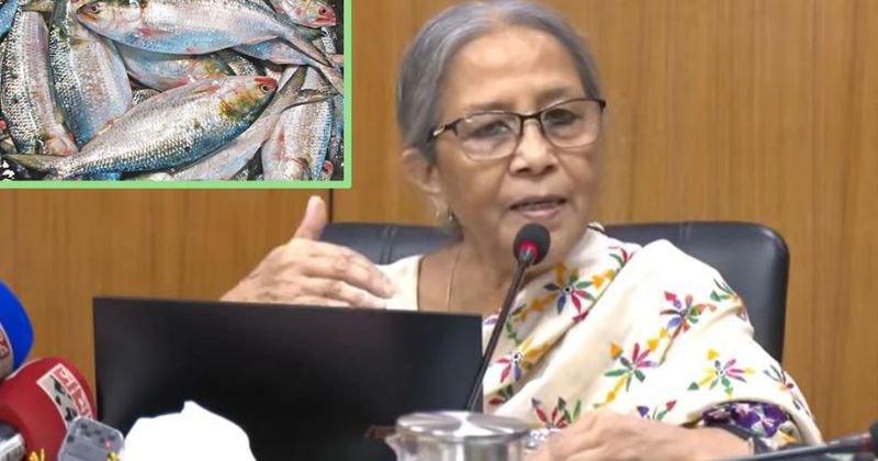ইলিশের দাম কমাতে না পারাটা কষ্টের: মৎস্য উপদেষ্টা