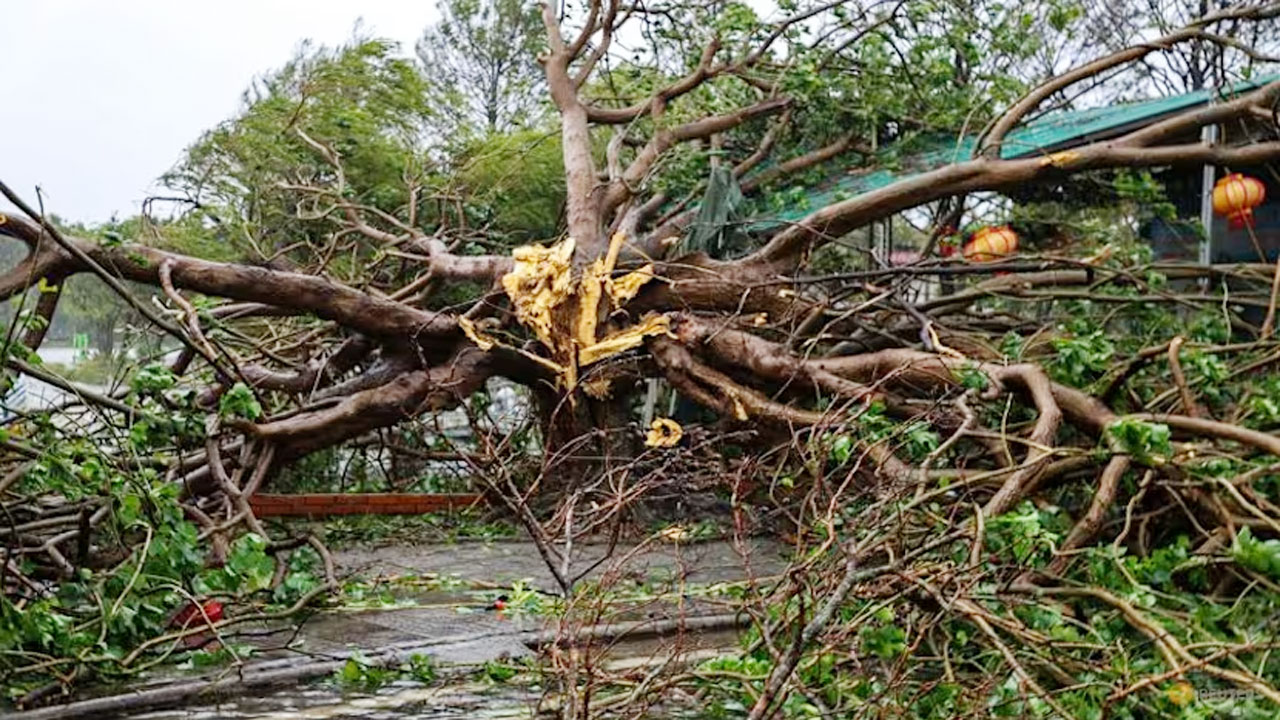 টাইফুন বুয়ালোইয়ের আঘাতে ভিয়েতনামে নিহত ১৯, নিখোঁজ ২১