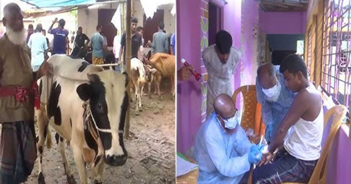 রংপুরে অ্যানথ্রাক্সে অর্ধশত মানুষ আক্রান্ত, দুই শতাধিক গরুর মৃত্যু