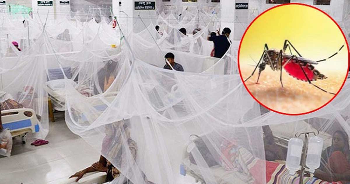 ডেঙ্গুতে গত ২৪ ঘণ্টায় আরো ৯ জনের মৃত্যু