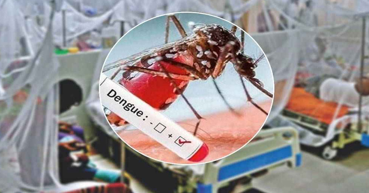 ডেঙ্গুতে হাসপাতালে ভর্তি ৭১৫, মৃত্যু দুইজনের