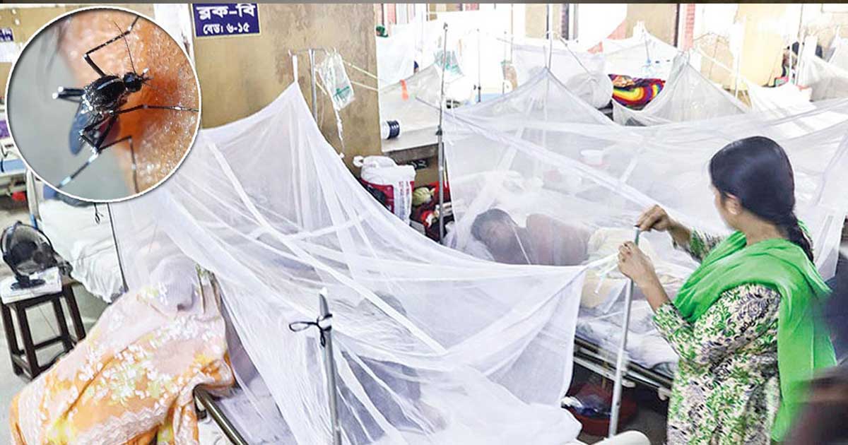 একদিনে ডেঙ্গুতে ৬ জনের মৃত্যু, হাসপাতালে ভর্তি ৯৫৩