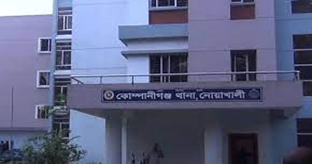 নোয়াখালীর কোম্পানীগঞ্জে পুকুরে ডুবে দুই ভাইয়ের মৃত্যু