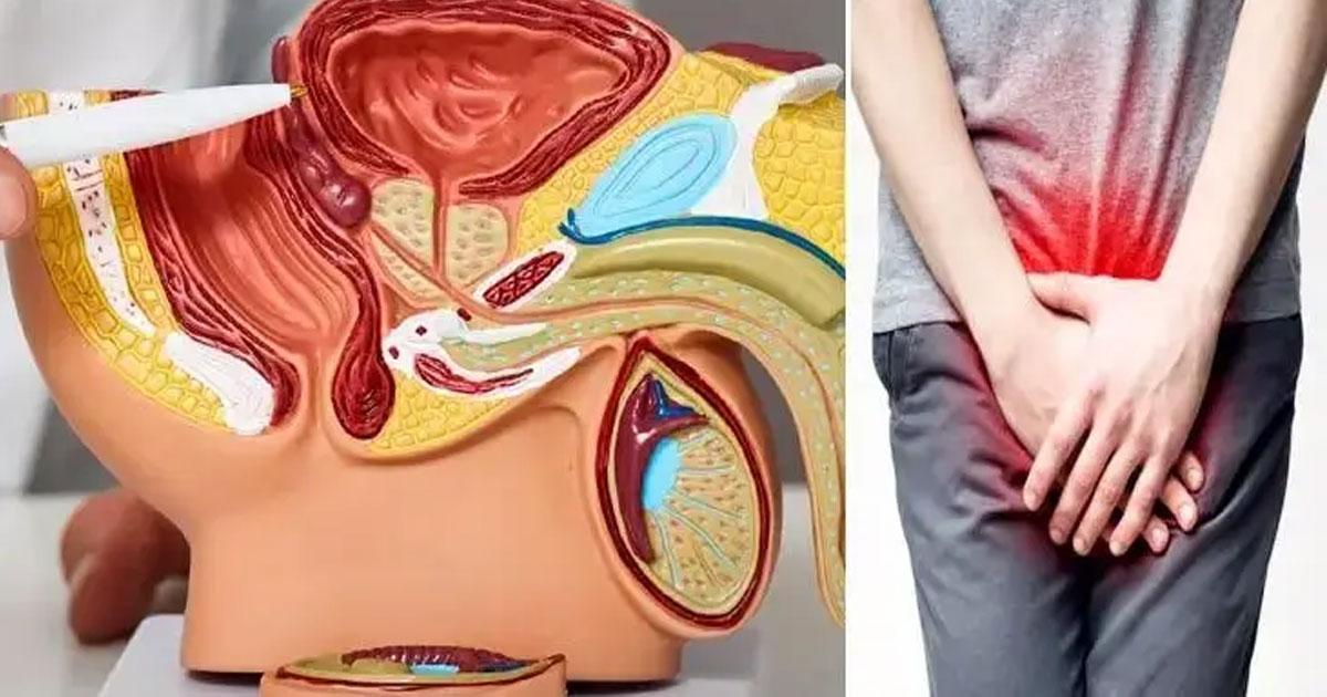 নীরব ঘাতকের বিরুদ্ধে সচেতনতার সময় এখনই