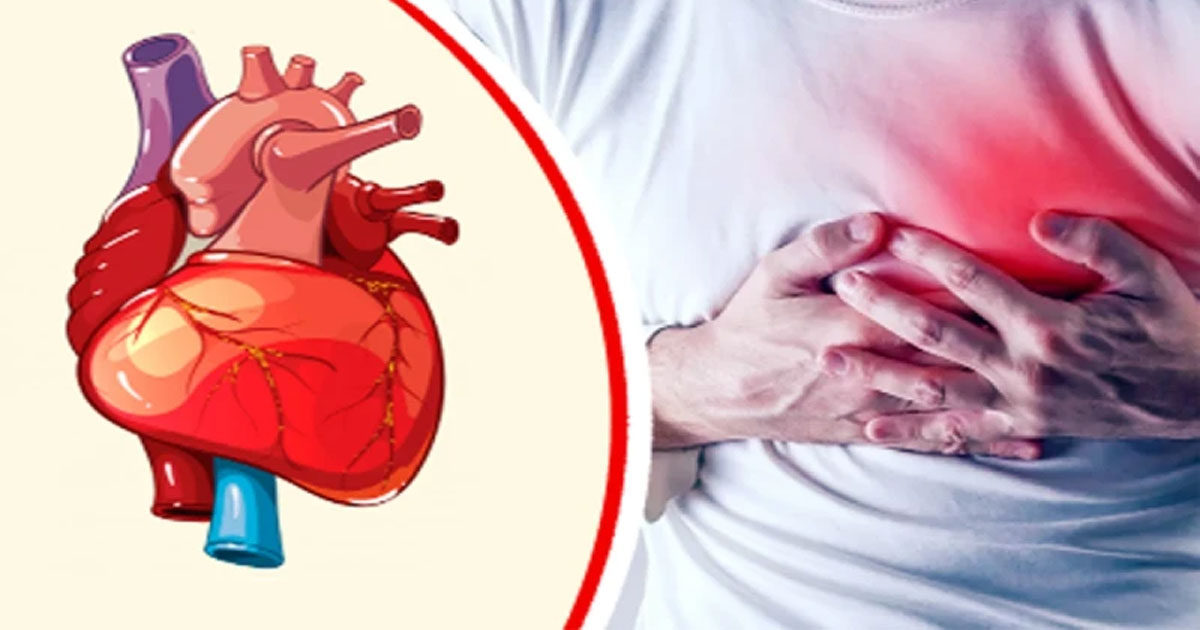 ৯৯ শতাংশ হার্ট অ্যাটাক হয় যে চার কারণে