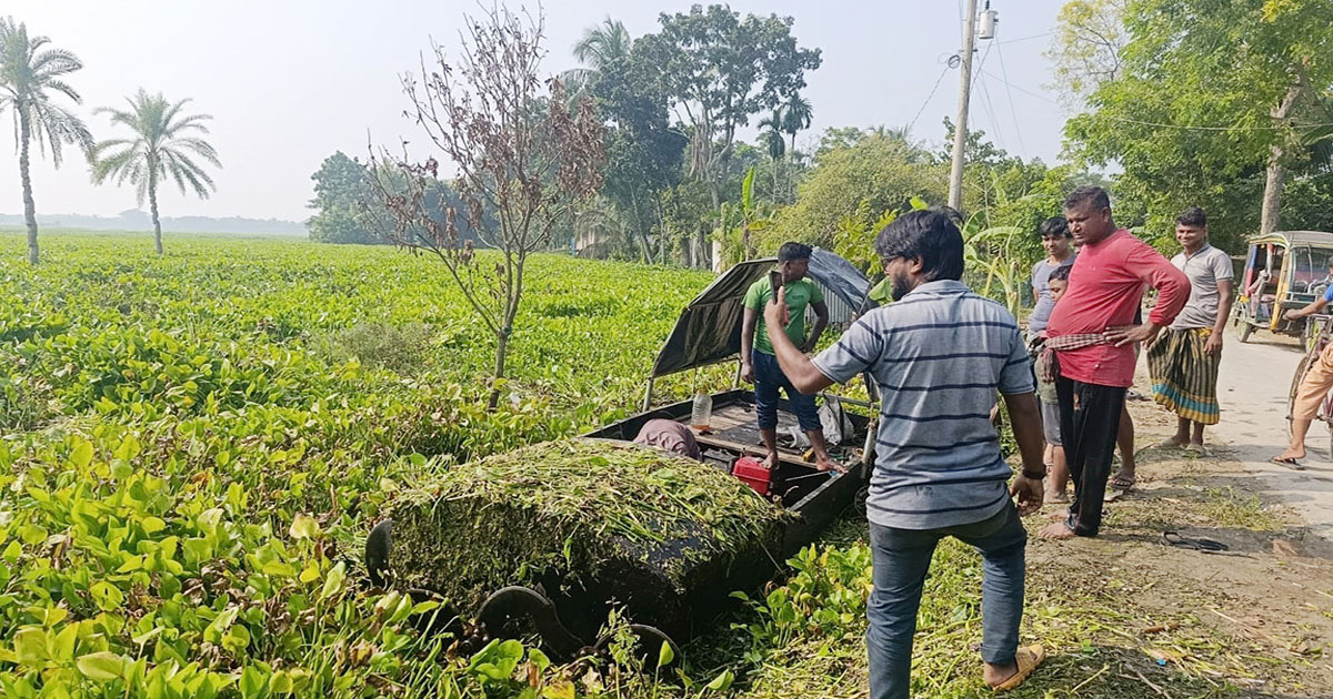 কচুরিপানায় ডুবে আছে হাজার হাজার বিঘা চাষের জমি