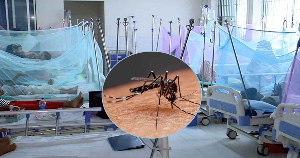 ২৪ ঘণ্টায় নতুন করে ৪৬৮ জন ডেঙ্গুতে আক্রান্ত