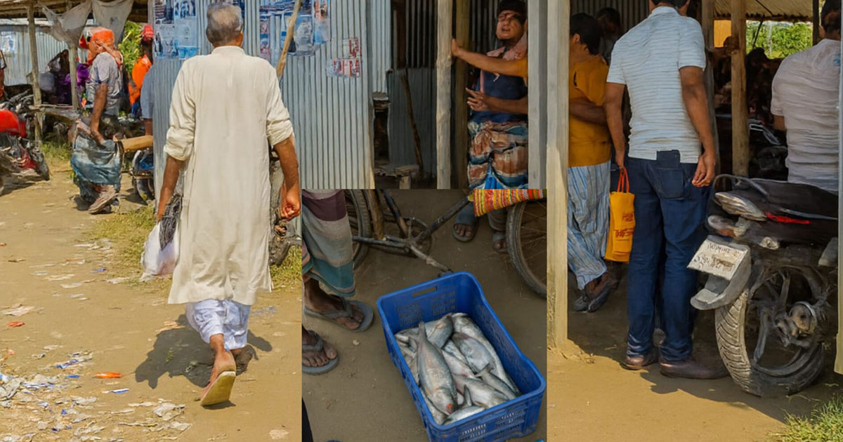 নিষেধাজ্ঞার মধ্যেও পদ্মার চরে অবাধে চলছে মা ইলিশ বেচাকেনা