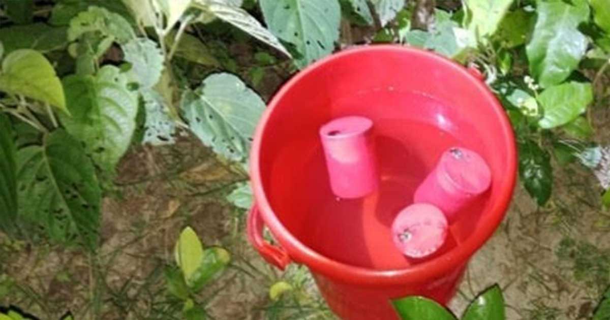 যশোরের শার্শায় পরিত্যক্ত অবস্থায় তিনটি ককটেল বোমা উদ্ধার