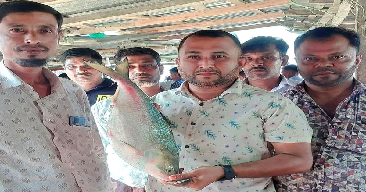 লক্ষ্মীপুরে এক ইলিশ বিক্রি হল ৯ হাজার ২০০ টাকায়