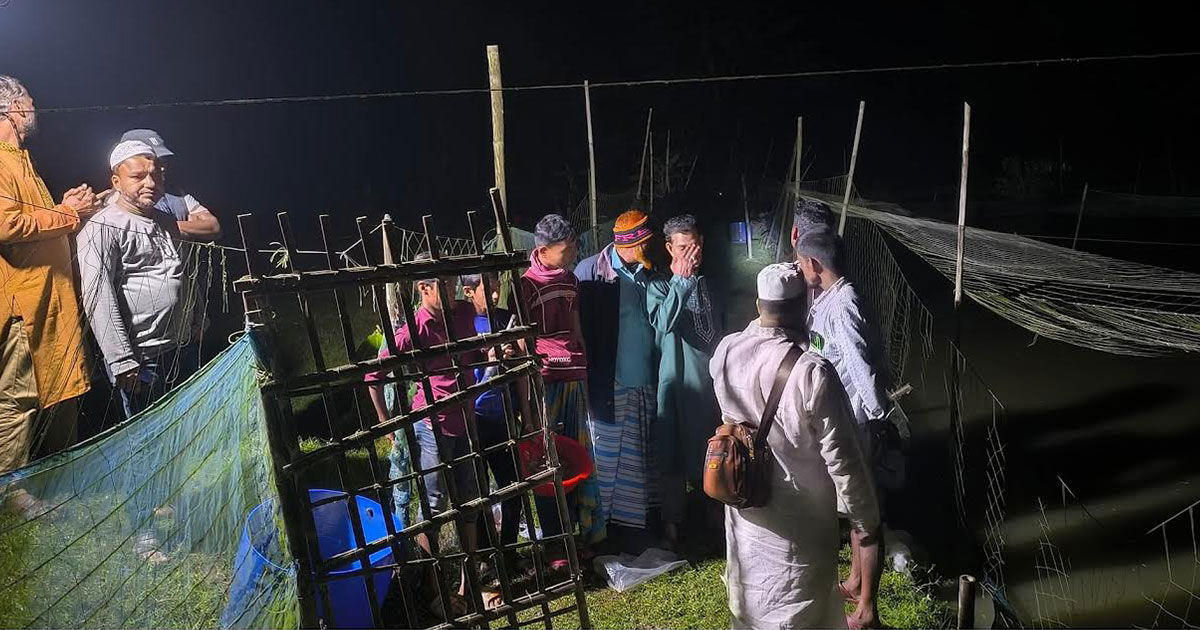 সুবর্ণচরে পুকুরে বিষ দিয়ে ৬ লাখ টাকার মাছ নিধন