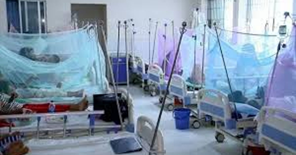 ডেঙ্গুতে আরও ৫ জনের প্রাণ গেল