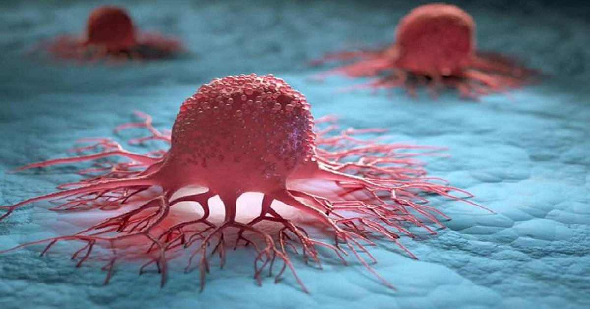 ক্যান্সার থেকে দূরে থাকতে যা করবেন প্রতিদিন