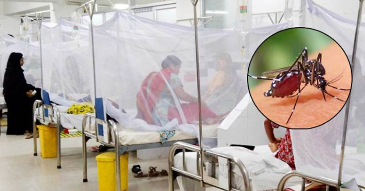 একদিনে ডেঙ্গুতে আরও ৪ জনের মৃত্যু, নতুন রোগী ৯২০