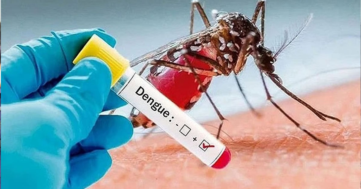 ডেঙ্গুতে আরও তিনজনের মৃত্যু, হাসপাতালে ভর্তি ৫৯৩