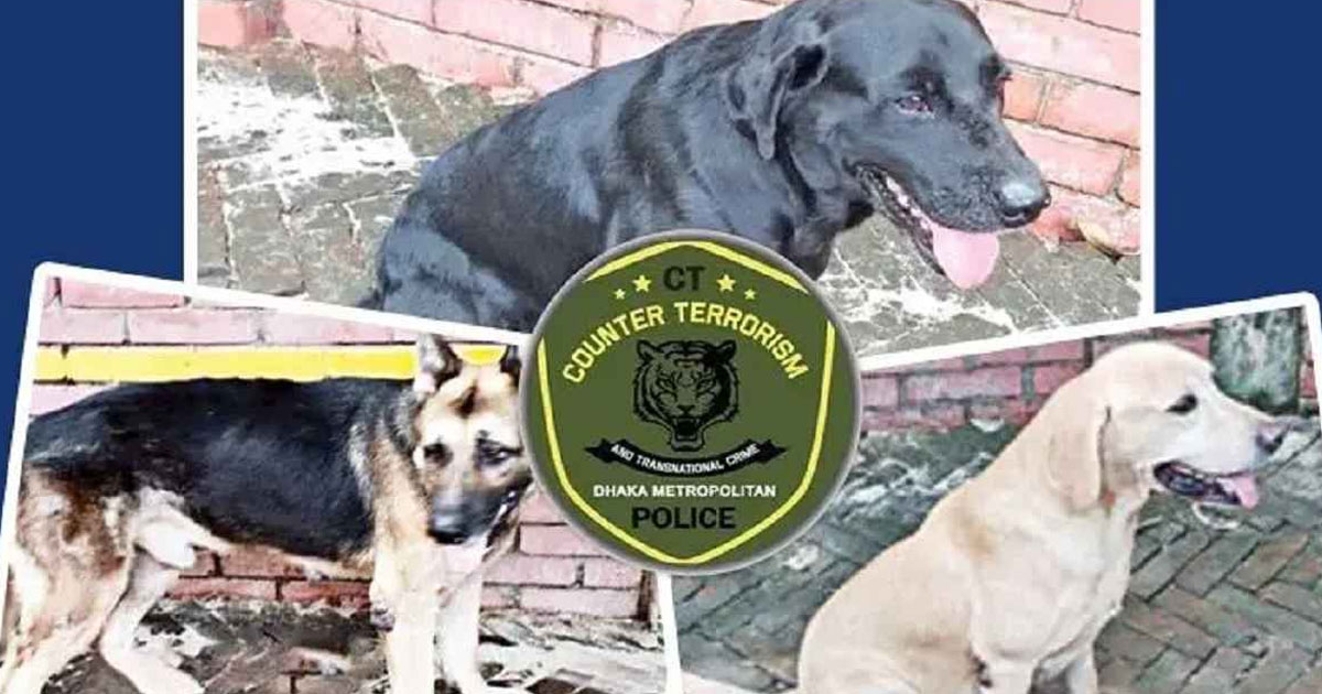 ৬ লাখ ৩০ হাজারে বিক্রি পুলিশের ৩ কুকুর, একটির দামই ৫ লাখ!