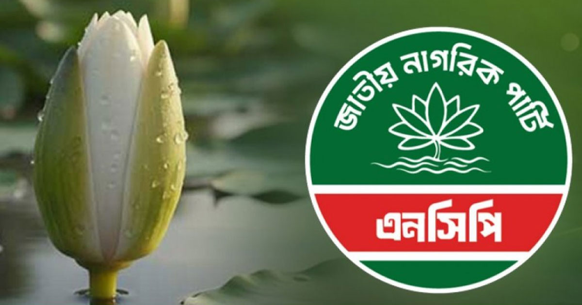 সংস্কারপন্থি শক্তিকে নিয়ে নতুন রাজনৈতিক জোট গঠনের ঘোষণা এনসিপির