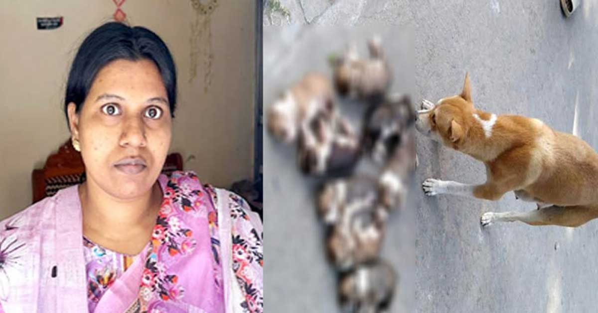 পানিতে ডুবিয়ে ৮ কুকুরছানা হত্যা, অভিযুক্তের স্বামীর বিরুদ্ধে ব্যবস্থা