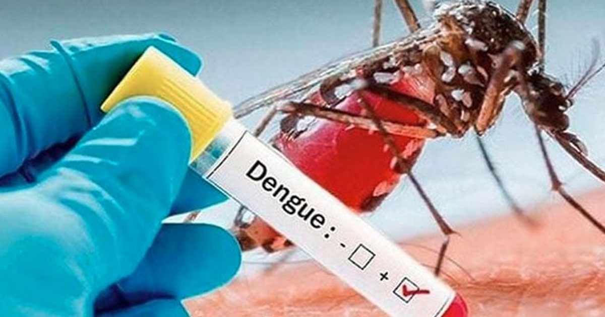 গত ২৪ ঘন্টায় ডেঙ্গুতে মৃত্যু নেই,  হাসপাতালে ভর্তি ২০০