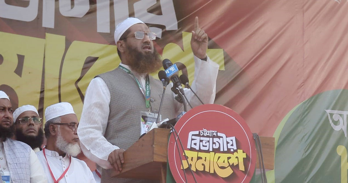 আগামী গণভোটে ‘হ্যাঁ’ ভোট নিশ্চিত করার আহ্বান মামুনুল হকের