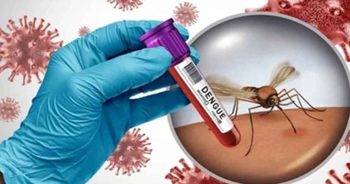 ২৪ ঘণ্টায় ডেঙ্গুতে মৃত্যু নেই, হাসপাতালে ভর্তি ৩৯৭ জন