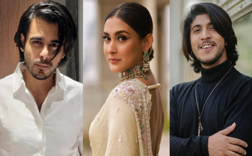 ব্যাট-বল নিয়ে মাঠে নামছেন বিনোদন তারকারা