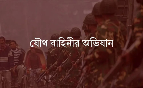 যৌথ বাহিনীর অভিযানে ৭ দিনে সারাদেশে আটক ২৫৯ জন