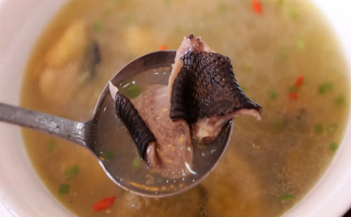 স্কুলের খাবারে মিলল মরা সাপ, অসুস্থ শতাধিক শিশু