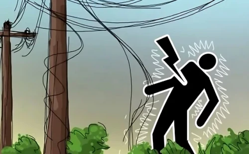 ফরিদপুরে বিদ্যুৎস্পৃষ্টে শিশুর মৃত্যু