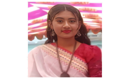 উল্লাপাড়ায় ভ্যান উল্টে কলেজছাত্রীর মৃত্যু