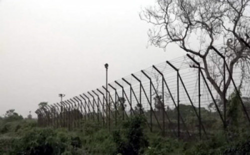 কসবা সীমান্তে বিএসএফের গুলি, বাংলাদেশির মৃত্যু