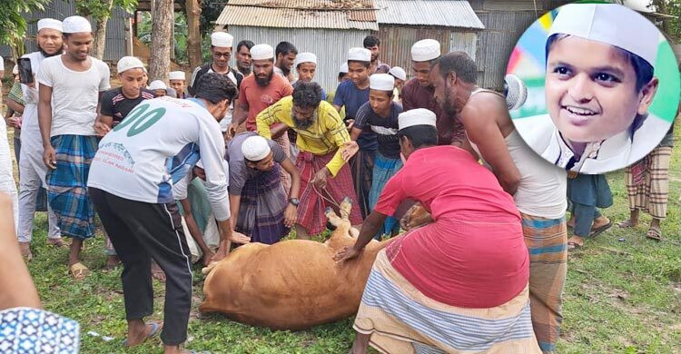গরু জবাই করে এলাকাবাসীকে খাওয়ালেন মাদানী