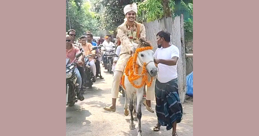 ফরিদপুরে ঘোড়ায় চড়ে বিয়ে করতে এলেন বর