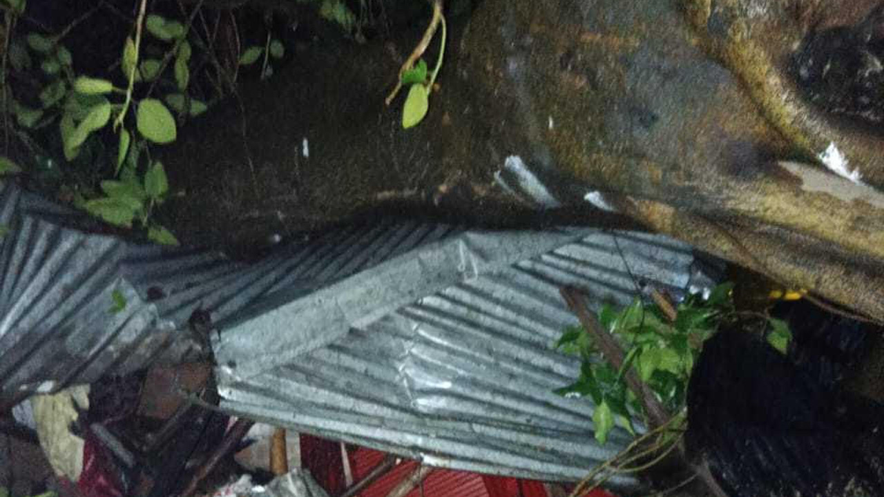 কালবৈশাখী ঝড়ে বটগাছ ভেঙে স্ত্রীর মৃত্যু, বেঁচে গেছেন স্বামী
