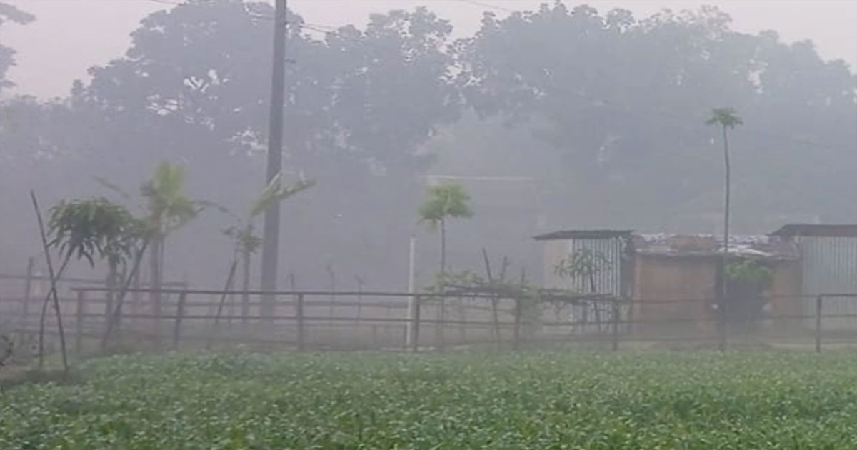 তেঁতুলিয়ায় টানা এক সপ্তাহ ধরে মৃদু শৈত্যপ্রবাহ