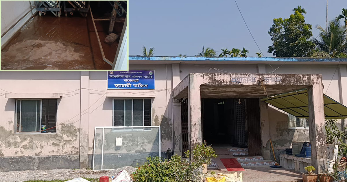 লবণাক্ত পানিতে নষ্ট হচ্ছে বাগেরহাটের হাঁস প্রজনন খামারের যন্ত্রপাতি