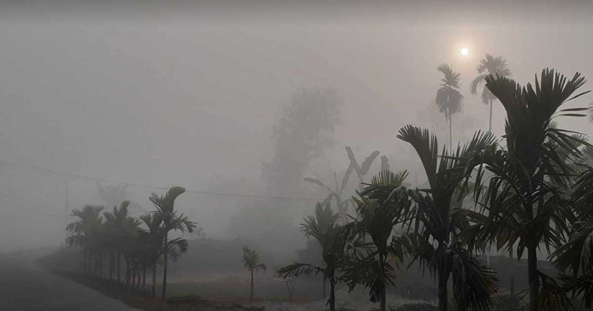 আগামী পাঁচ দিন তীব্র শীত ও কুয়াশার সম্ভাবনা