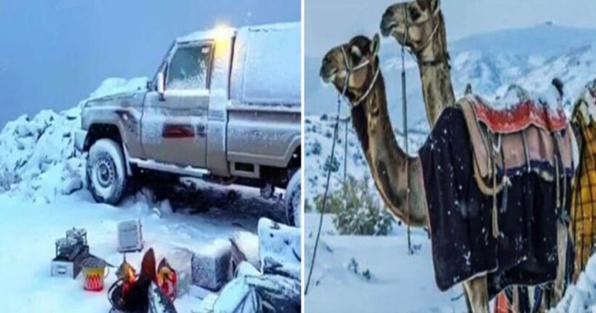 সৌদি আরব ও কাতারের মরুভূমিতে সাদা বিস্ময়