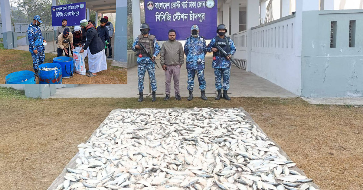চাঁদপুর মাছঘাট থেকে ৮মণ জাটকা জব্দ