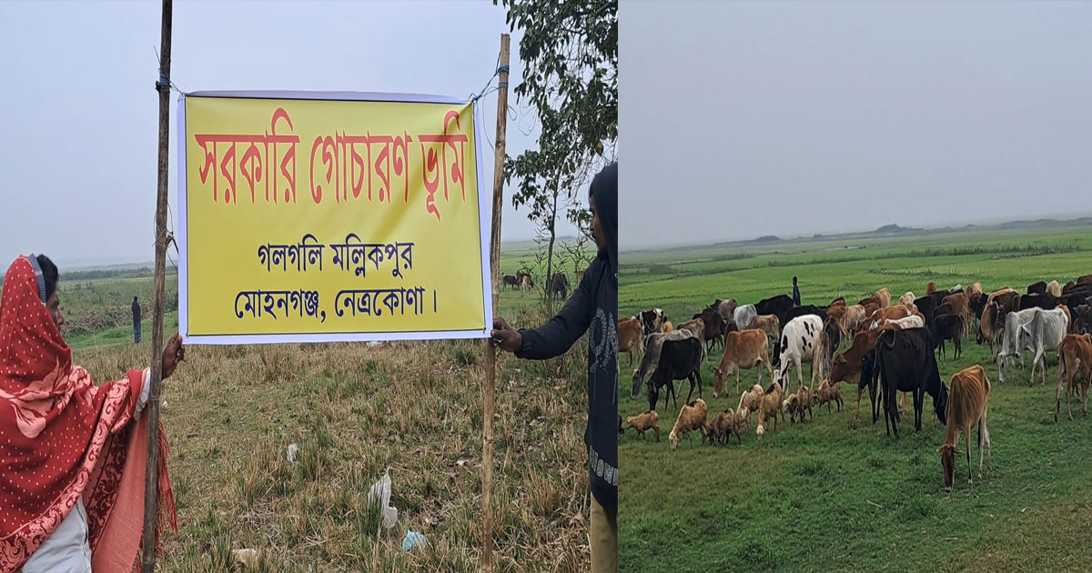 মোহনগঞ্জ হাওরে গোচারণভূমি ও শ্মশান দখলের অভিযোগ