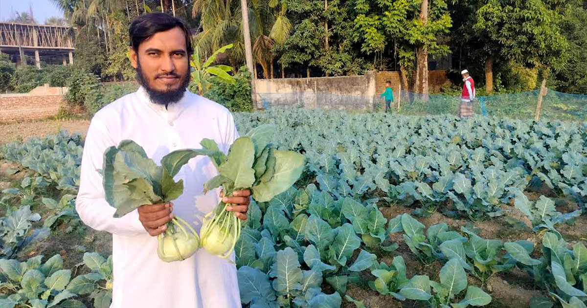 দাগনভূঞায় বিটরুট, ব্রকলি, চাইনিজ ক্যাবেজ ও শালগমের বাণিজ্যিক আবাদ