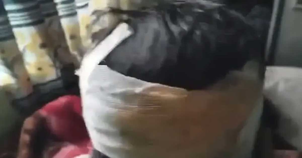 কদমতলীতে গণসংযোগকালে  জামায়াত নেত্রীর মাথায় কোপ