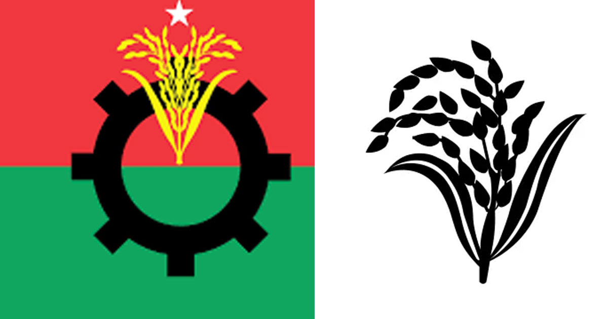 ৯ আসনে থাকছে না ধানের শীষ প্রতীক