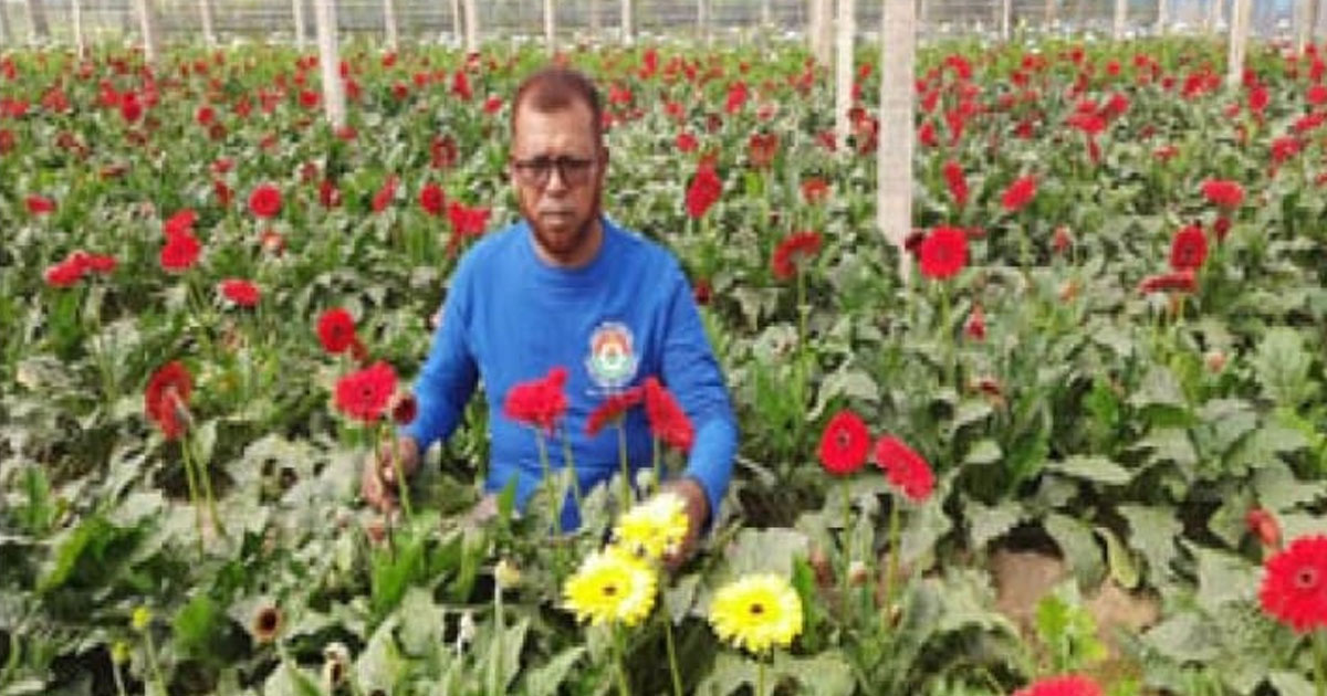 নির্বাচনের প্রভাব: গদখালী ফুলের বাজারে কোটি টাকার ক্ষতি