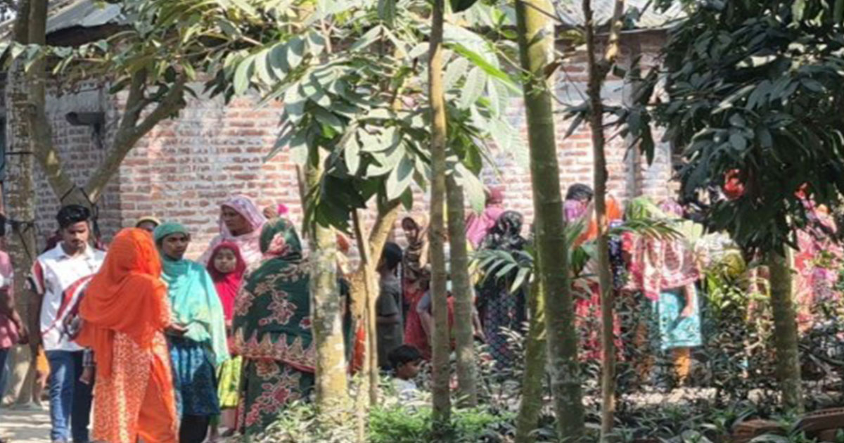 ঠাকুরগাঁওয়ে পৃথক সড়ক দুর্ঘটনায় নারীসহ নিহত ২